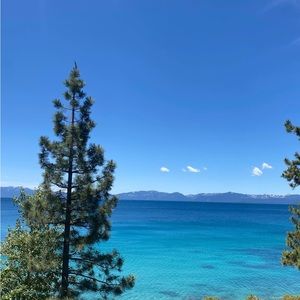 Meet your Posher, Cayden